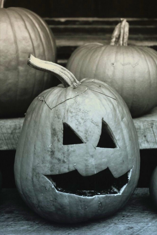 Тыквы на хэллоуин обои