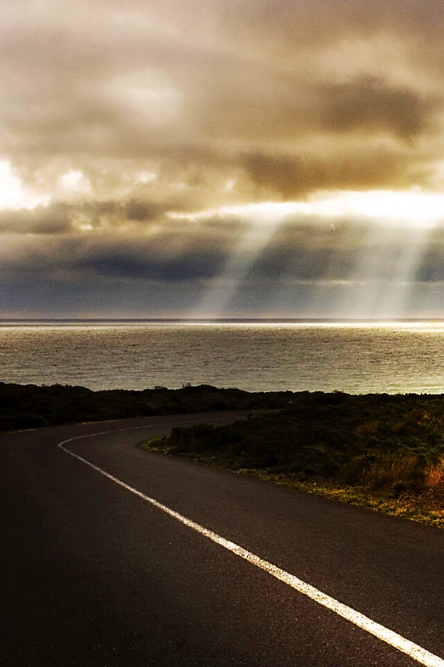 Дорога обои