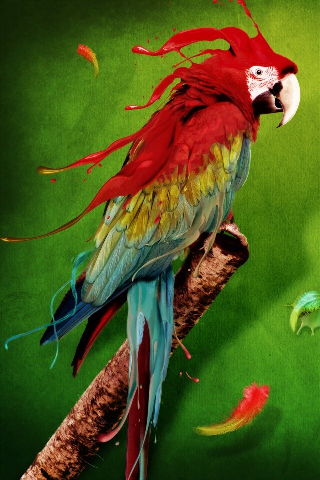 Попугай на ветке обои