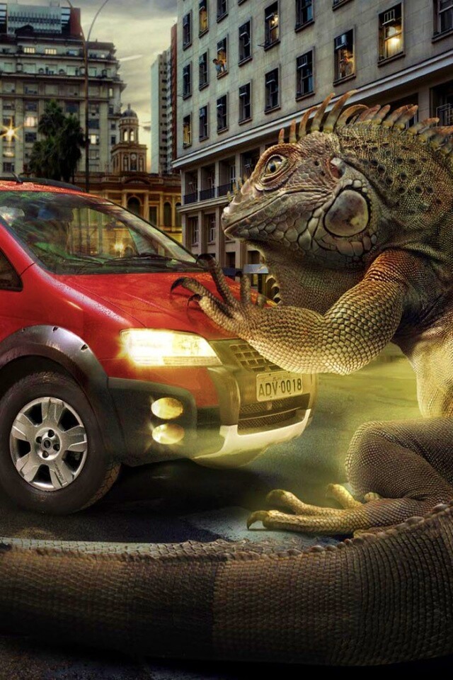 Ящерица в городе обои