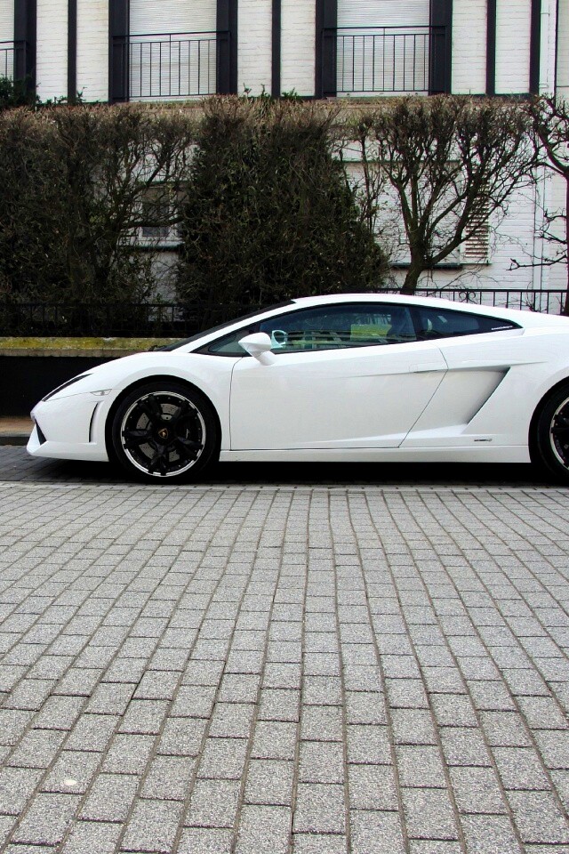 Белый Lamborghini обои