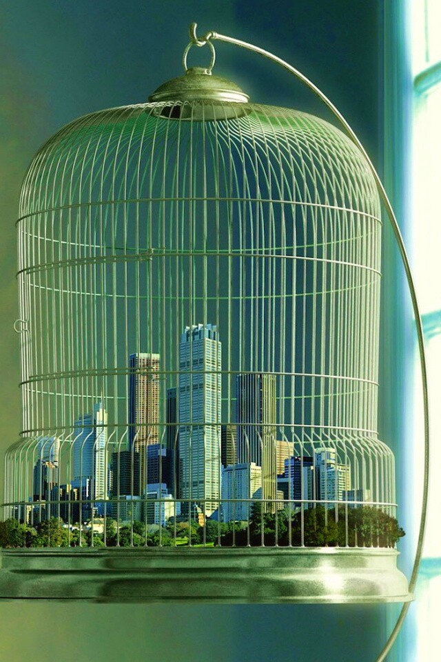 Город в клетке обои