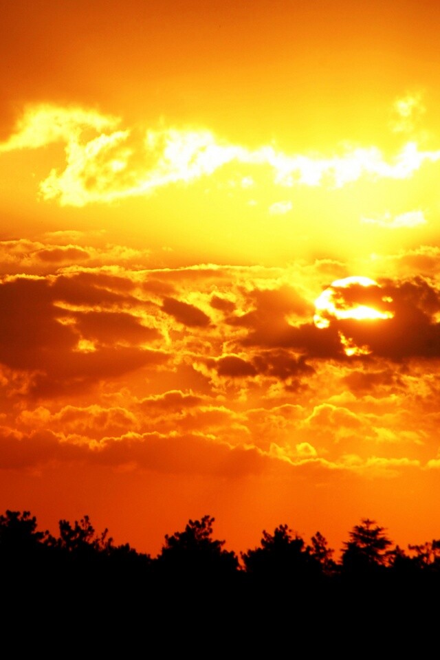 Ярко-оранжевое закатное небо обои