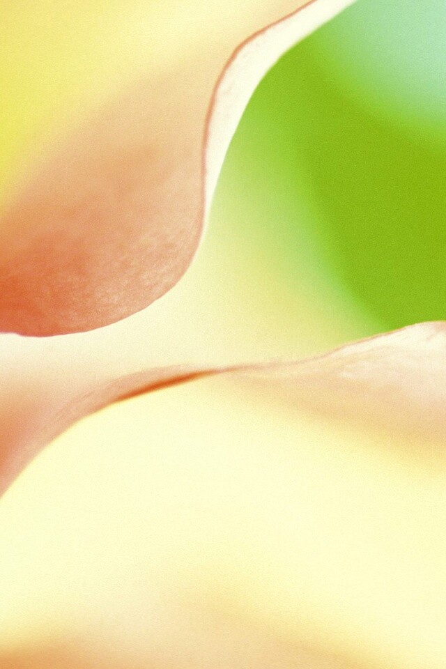 Оттенки природы обои