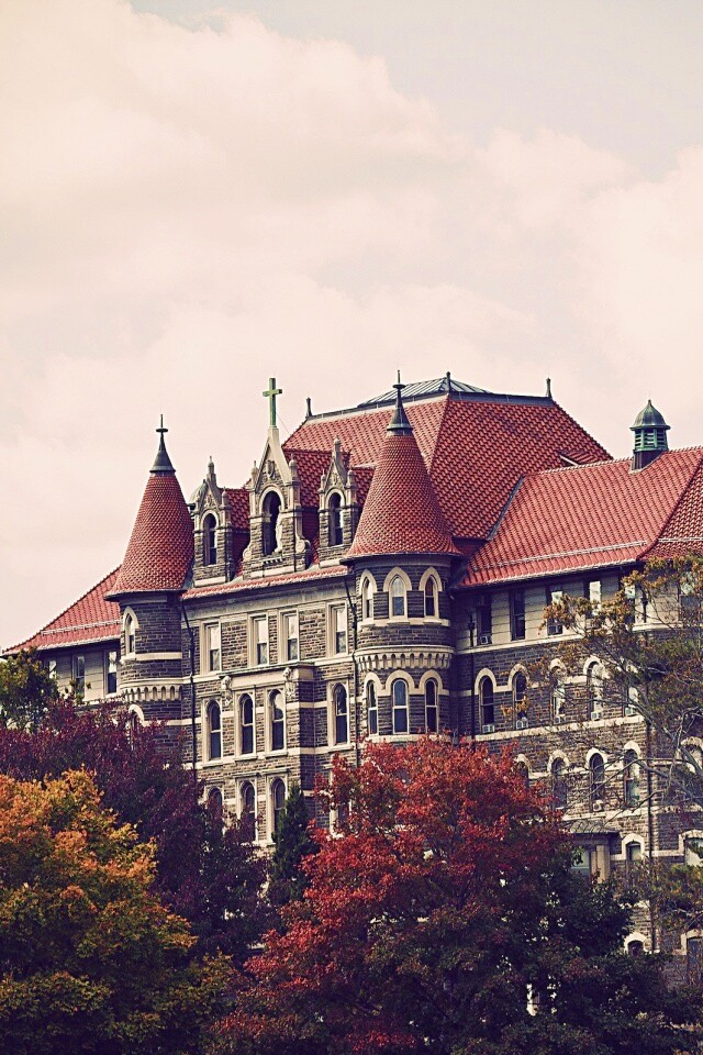 Колледж обои