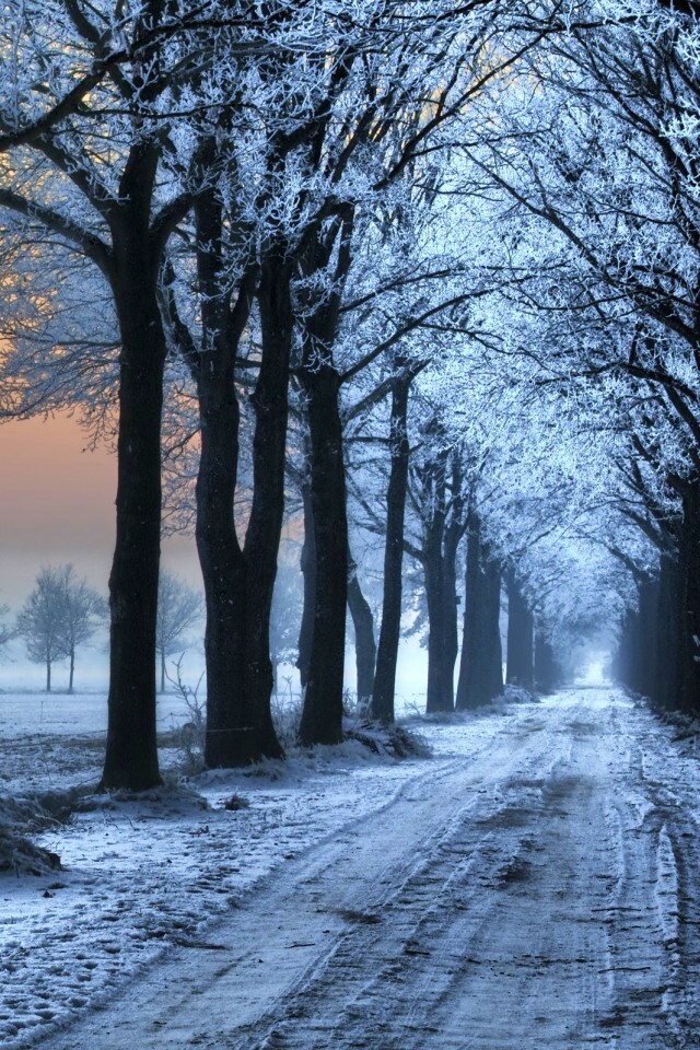 Морозное утро обои