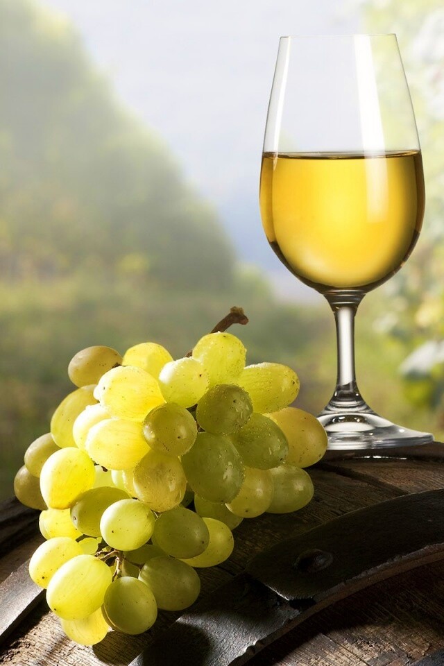 Винная бочка и бокал с белым вином обои