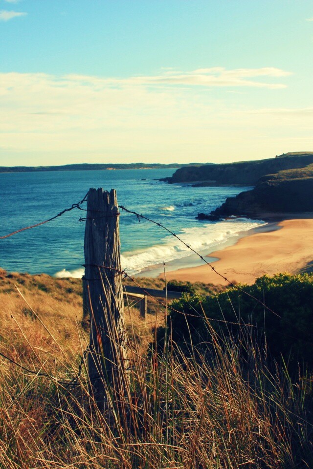 Пляж на озере обои