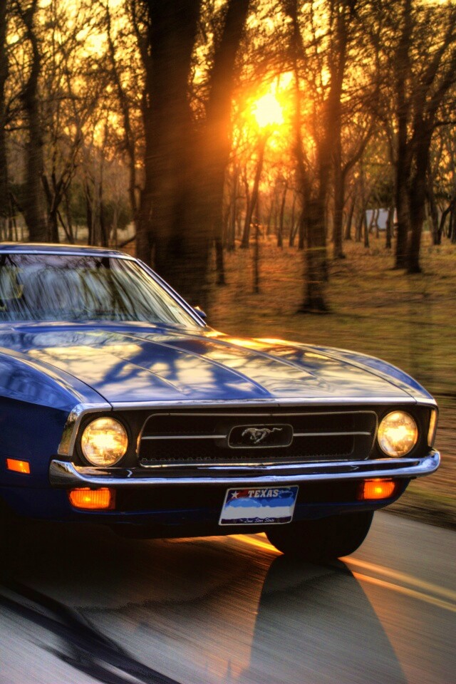 Мустанг обои