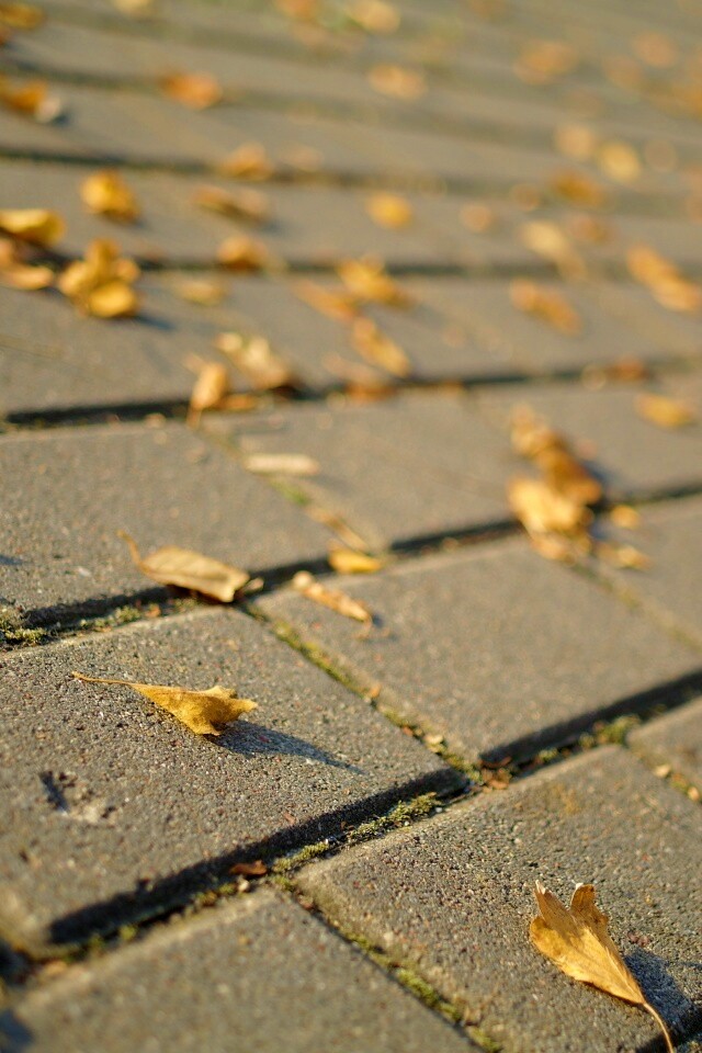 Тротуар обои