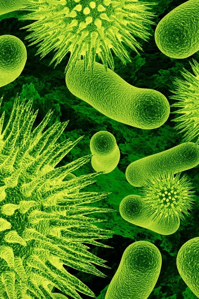 Бактерии обои