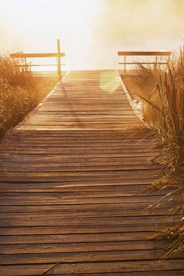 Выход к реке обои