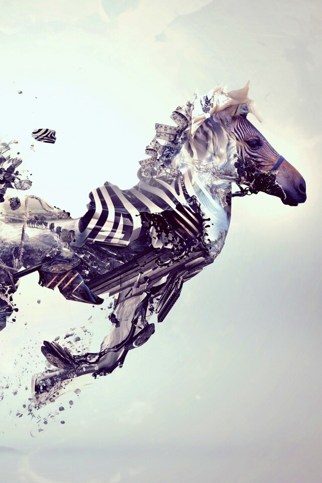 Зебра и бонсай обои