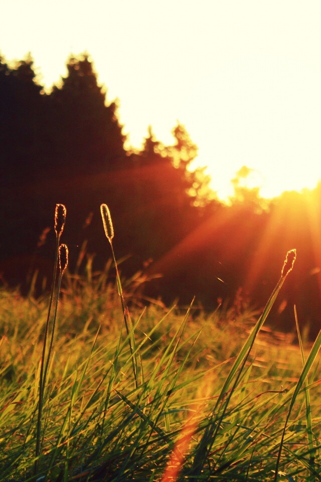 Красота природы обои