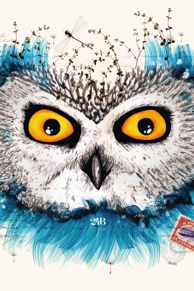 Обои сова для mac book обои