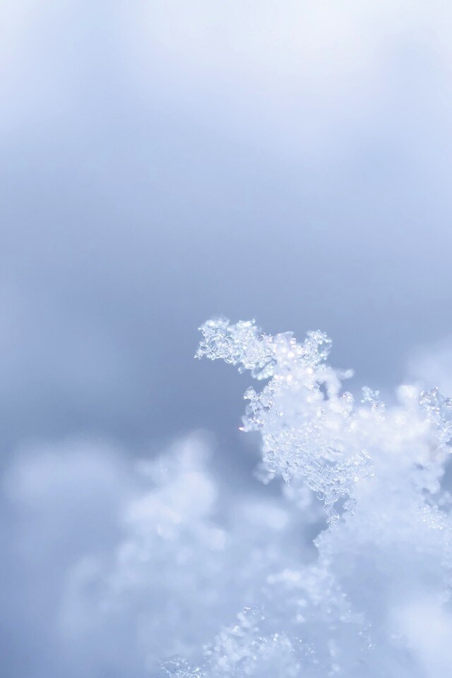 Макро фото снега обои