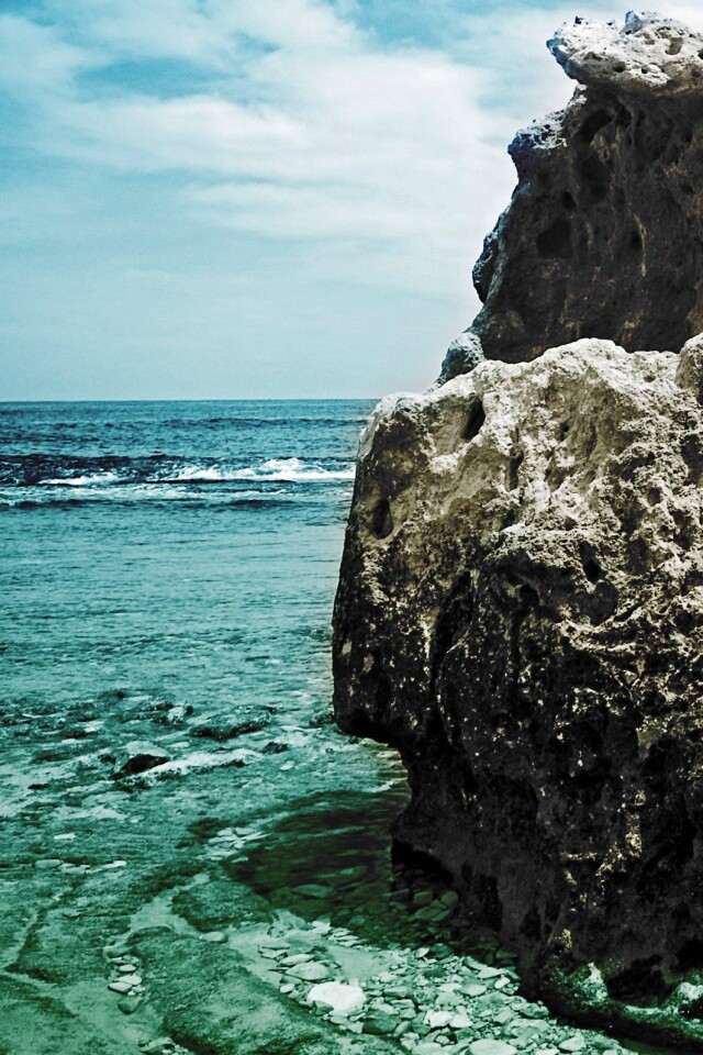 Коралловый риф обои