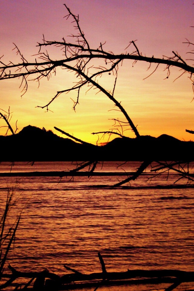 Тропический закат обои