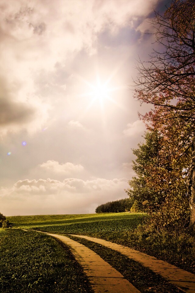 Солнечные холмы обои