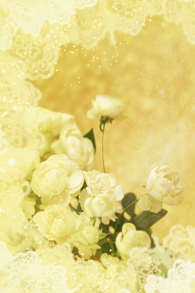 Бежевые кружева и розы обои