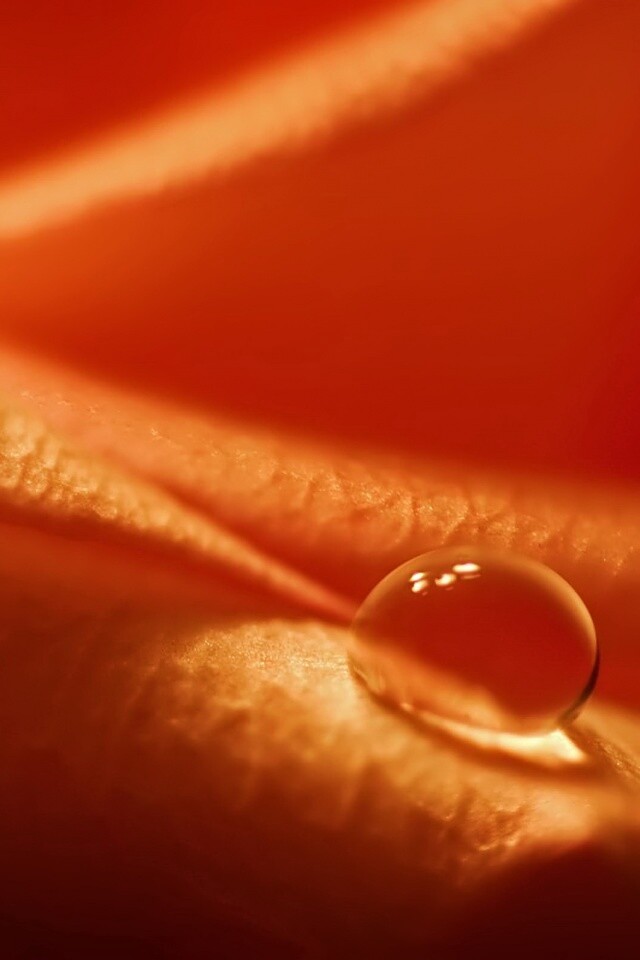 Капелька обои