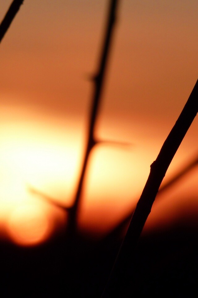 Закат солнца в поле обои