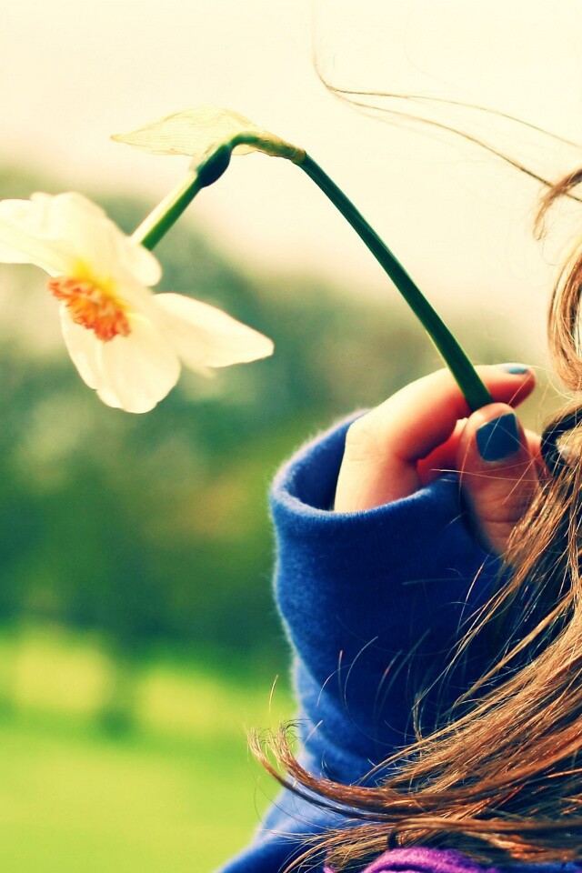 Девушка с нарциссом в руке обои