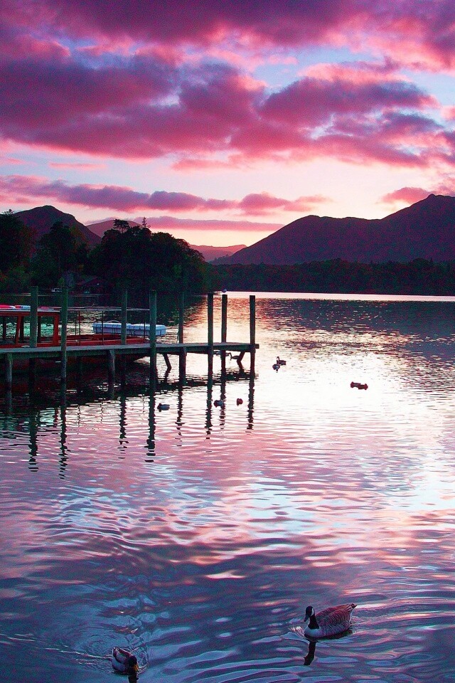 Причал на озере и утки обои