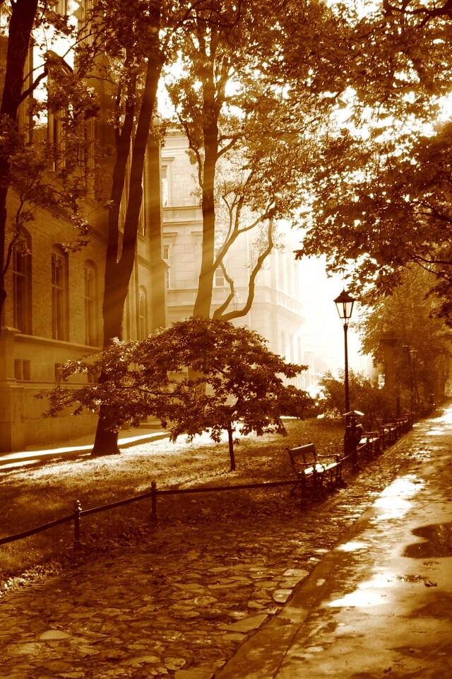 Аллея у здания обои