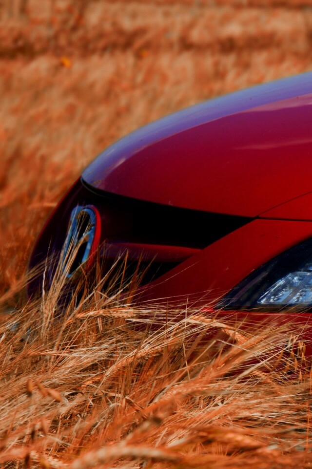 Мазда в пшенице обои