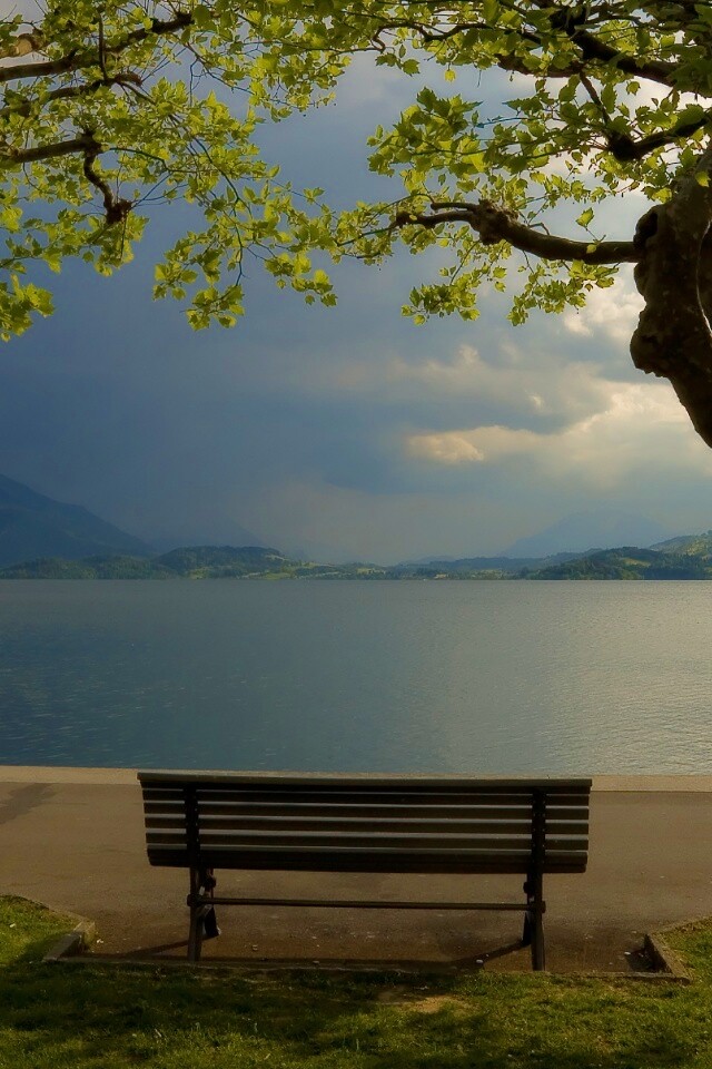 Скамейка на берегу обои