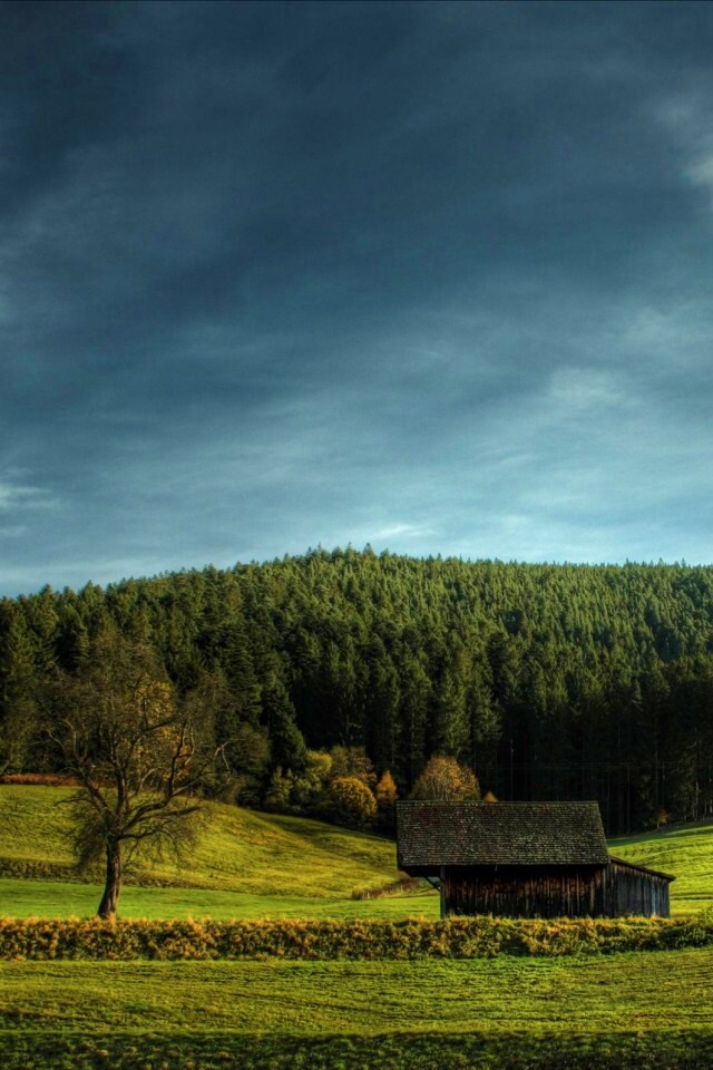 Домик в поле обои