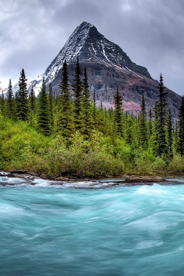 Волшебный пейзаж обои