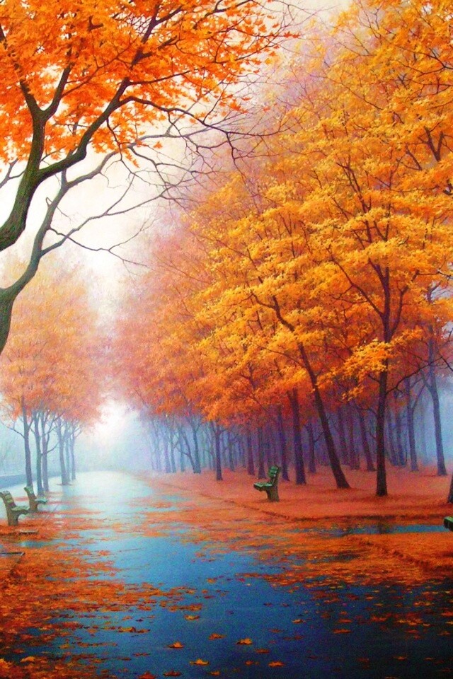 Дорога в осень обои