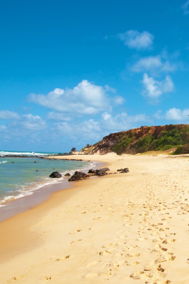 Туры в Бразилию в Лондрину обои