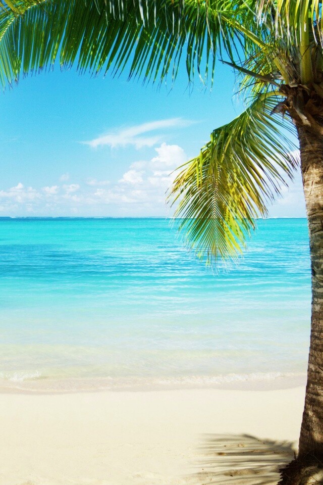 Райское побережье обои