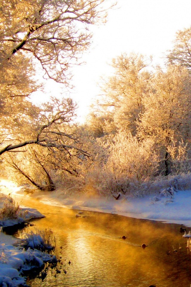 Зимняя река обои