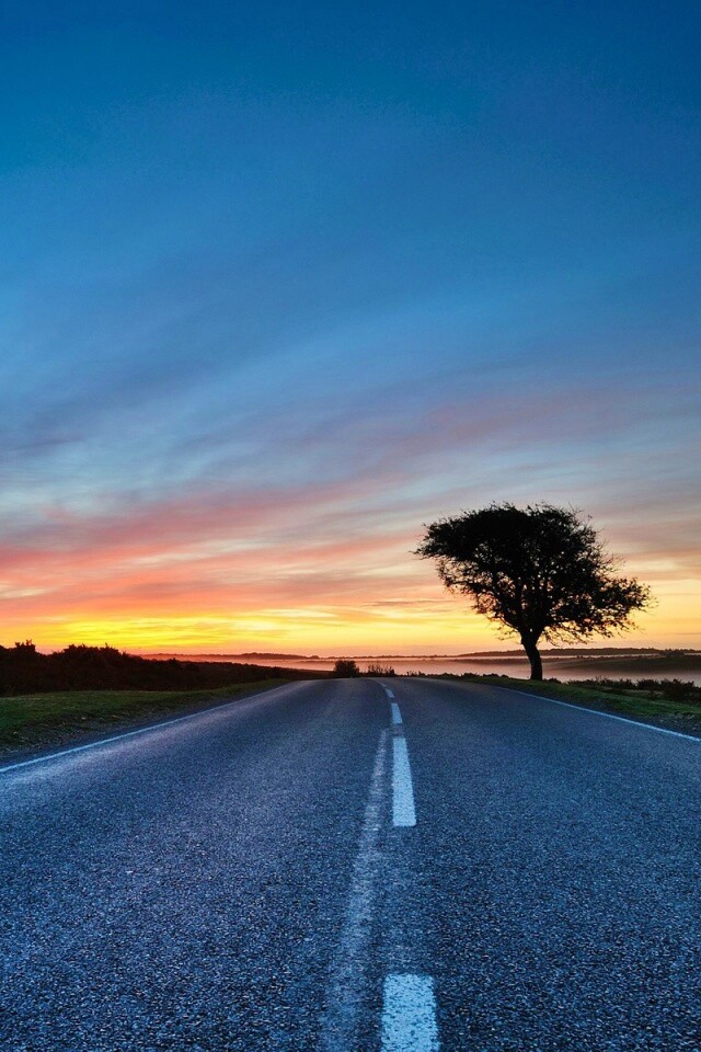 Дорога обои