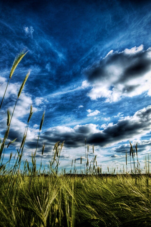 HDR Поле обои