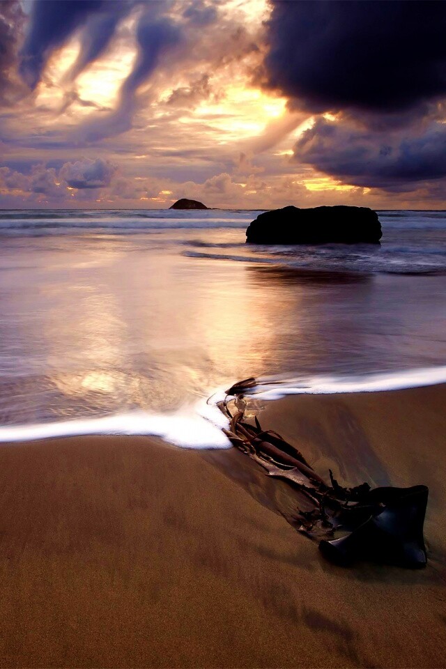 Коряга на пляже обои