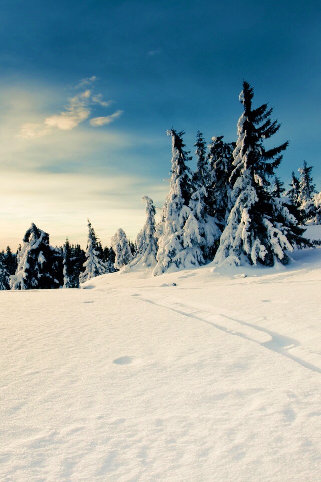 Зимние просторы обои