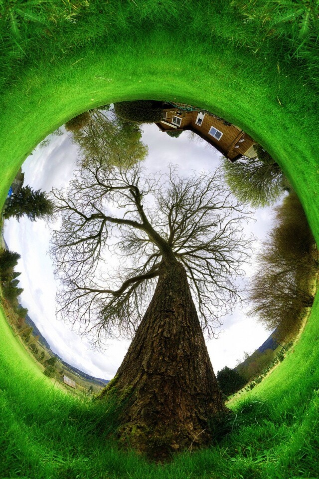 Другой взгляд на мир обои