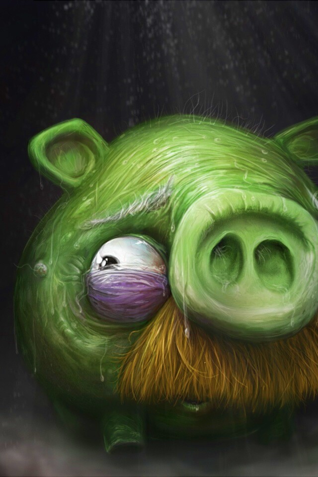 Свинья из Angry Birds обои