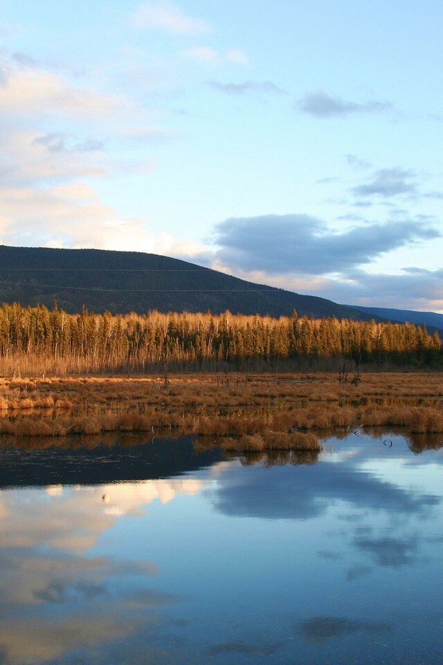 Осеннее озеро обои