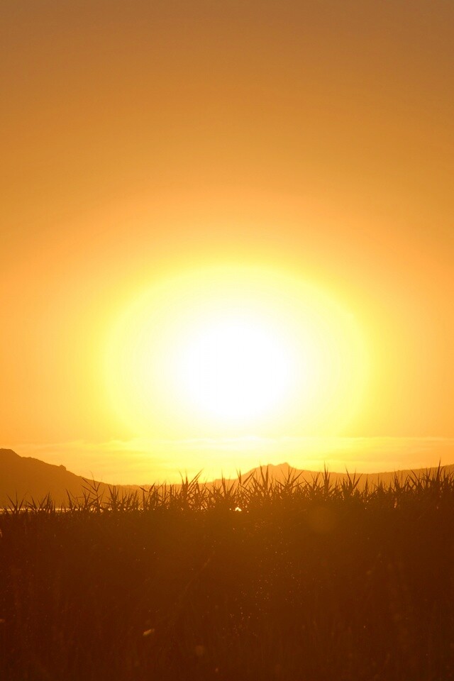 Сельский закат обои
