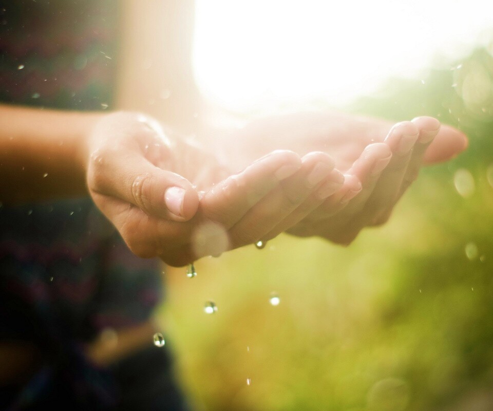 Дождь в ладонях обои