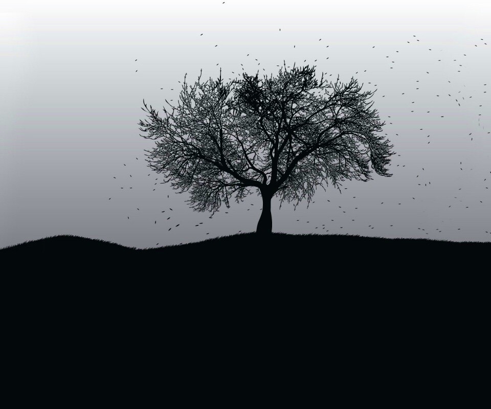 Черное дерево обои