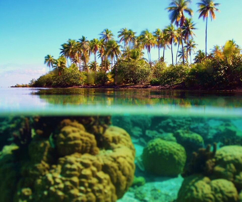 Из-под воды обои