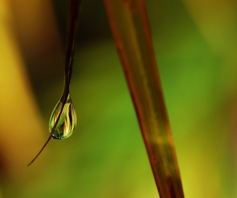 Стекающая капля обои