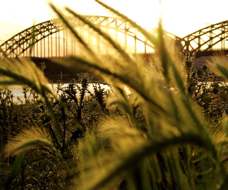 Железнодорожный мост обои